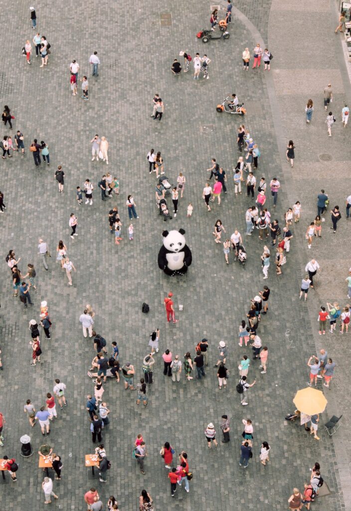 The Power of PANDA!